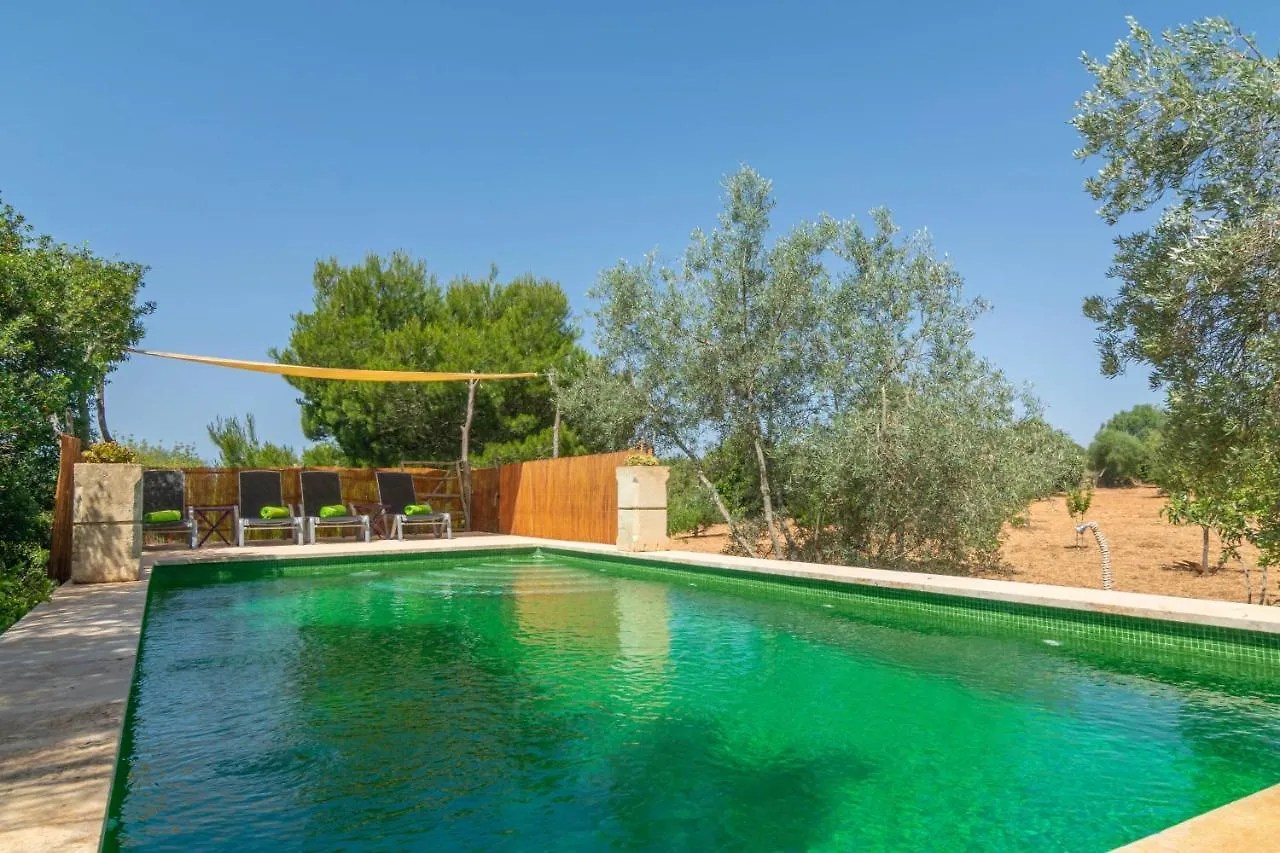 Cas Conill Villa Llucmajor  Spain
