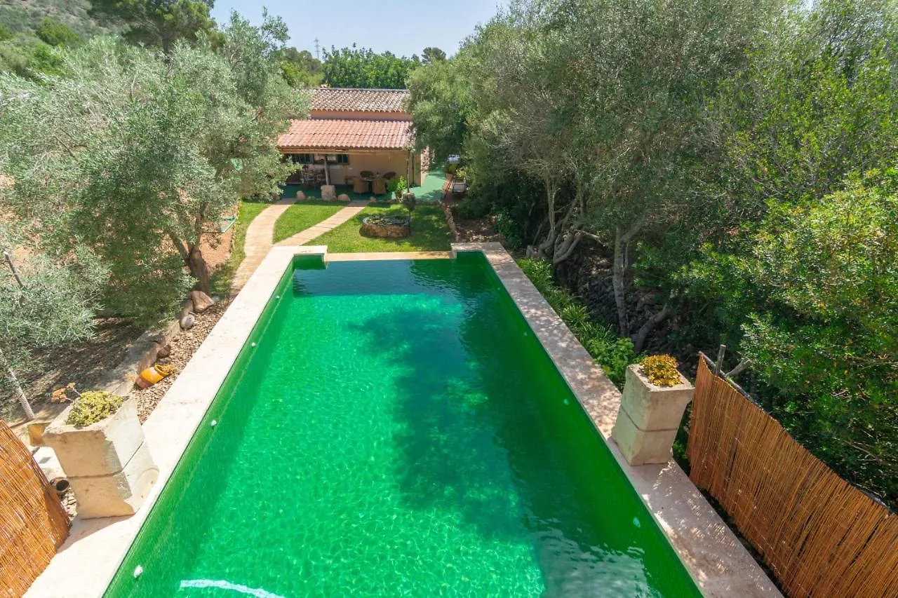 Cas Conill Villa Llucmajor  Spain