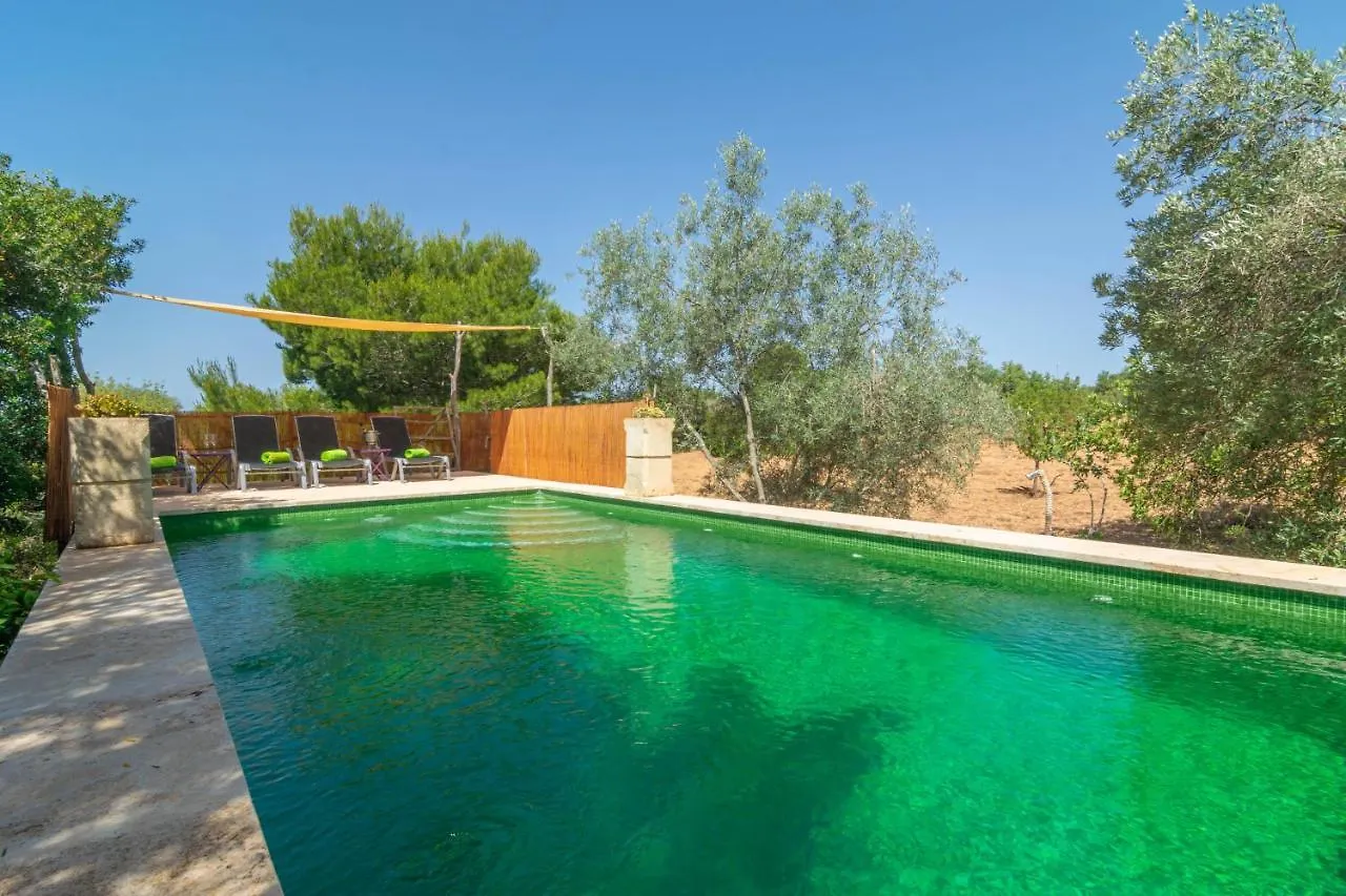 Cas Conill Villa Llucmajor  Spain