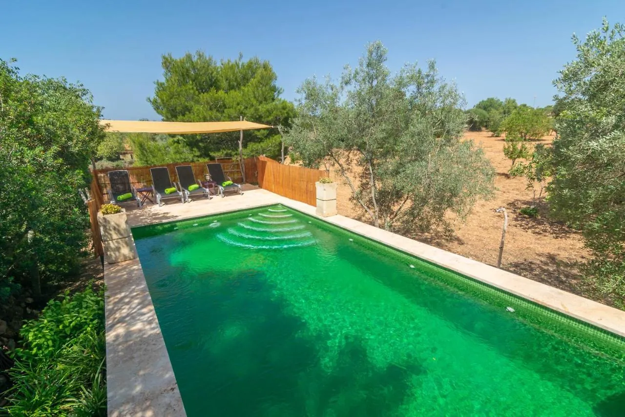 Cas Conill Villa Llucmajor  Spain